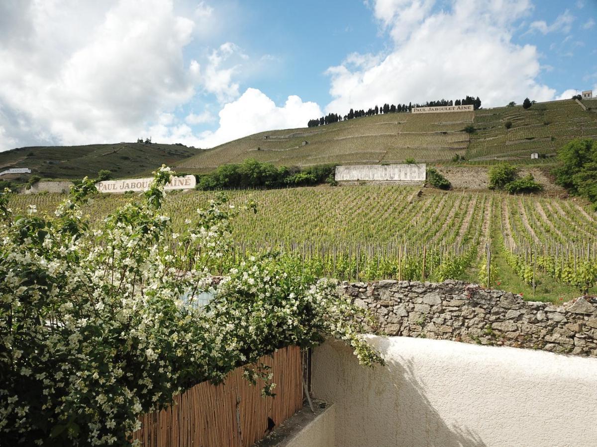 Le Pavillon De L'Hermitage - Spa Ouvert D'Avril A Octobre ทาอิน-เลมิทาจ ภายนอก รูปภาพ