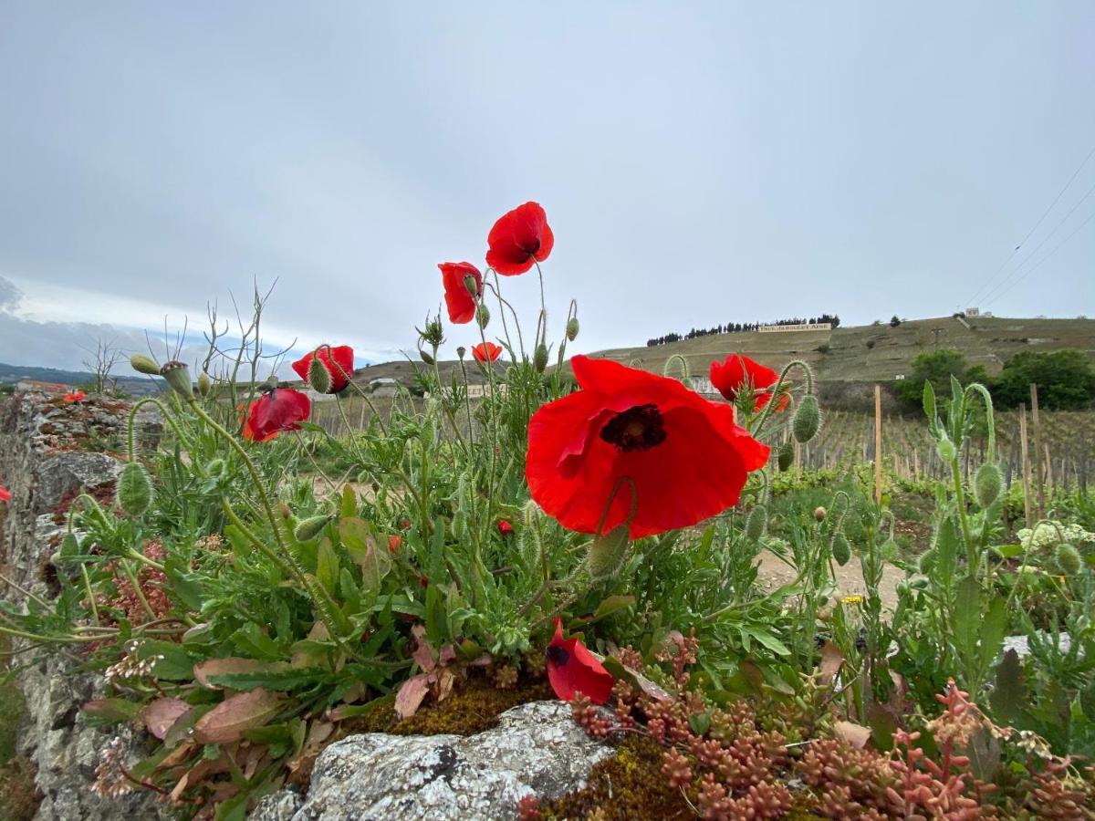 Le Pavillon De L'Hermitage - Spa Ouvert D'Avril A Octobre ทาอิน-เลมิทาจ ภายนอก รูปภาพ