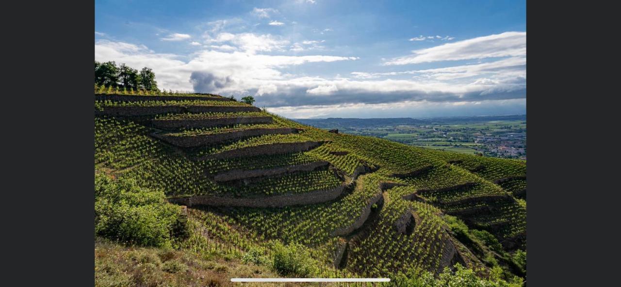 Le Pavillon De L'Hermitage - Spa Ouvert D'Avril A Octobre ทาอิน-เลมิทาจ ภายนอก รูปภาพ